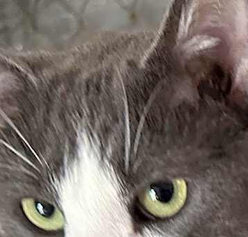 Photo of Timmy
