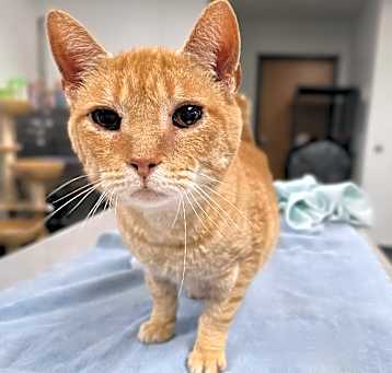 Photo of Bobbie