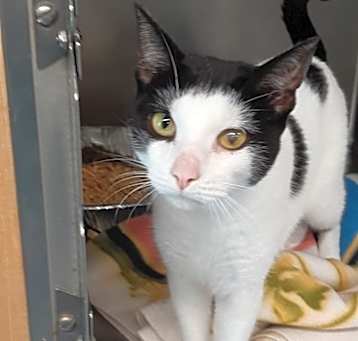 Photo of Merth aka Dottie