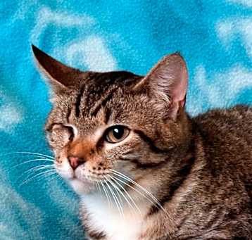 Photo of CeeCee