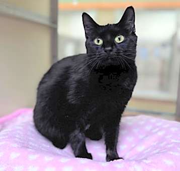 Photo of Lilliana