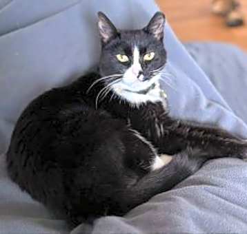 Photo of Noddy
