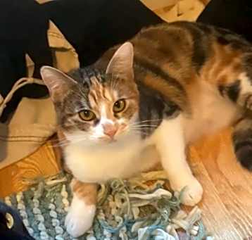 Photo of Matilda
