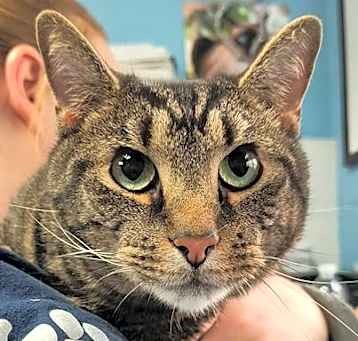 Photo of HUMPHREY