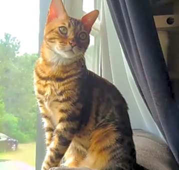 Photo of Babou