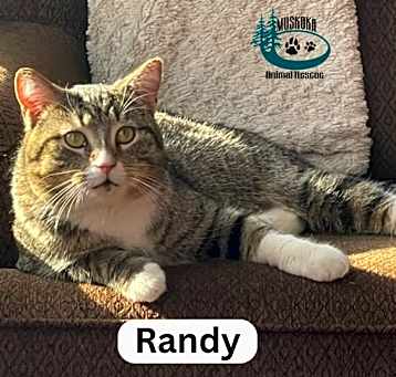 Photo of Randy - Personality Plus!