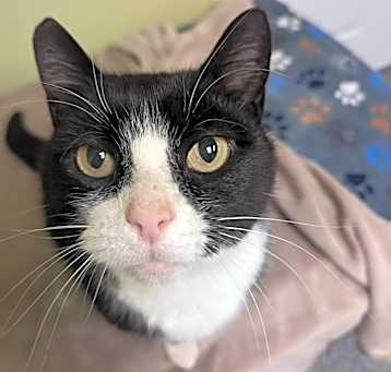 Photo of Socks