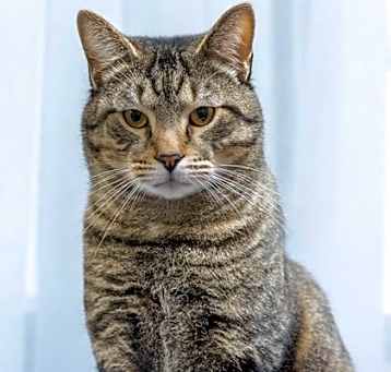 Photo of Yukon
