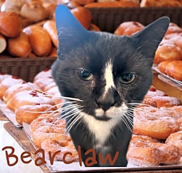 Photo of Bearclaw