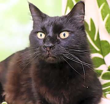 Photo of Makue