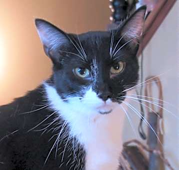 Photo of Zip