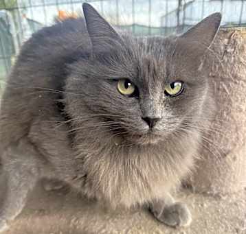 Photo of Shayla