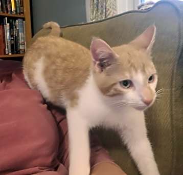 Photo of Malachi - must go with Lena