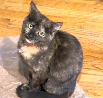 Photo of Lena - must go with Malachi