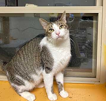 Photo of SKITTLES