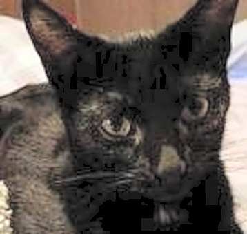 Photo of Zz Ty~ Courtesy