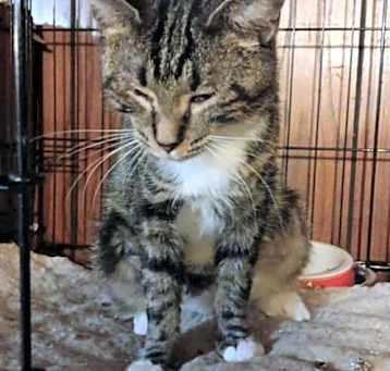 Photo of Zz Momma Millie - Courtesy