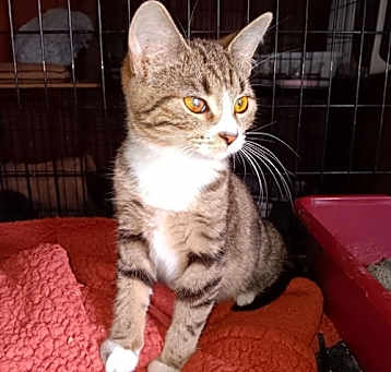 Photo of Baby Wink