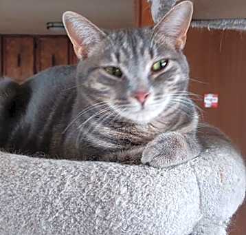 Photo of Baby Quill