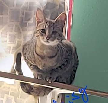 Photo of Zz Daisy~ Courtesy