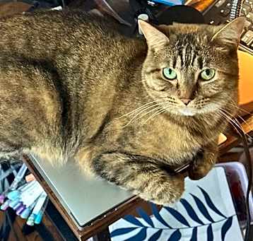 Photo of Emmy