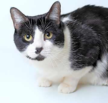 Photo of Bessie
