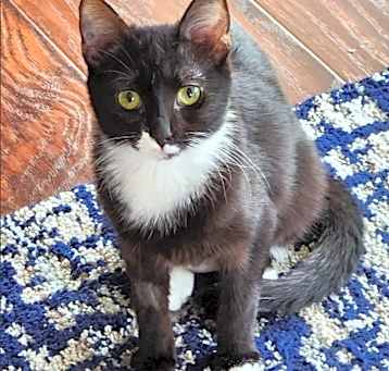 Photo of Elsa