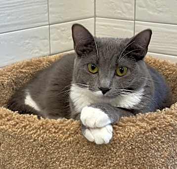 Photo of Louise