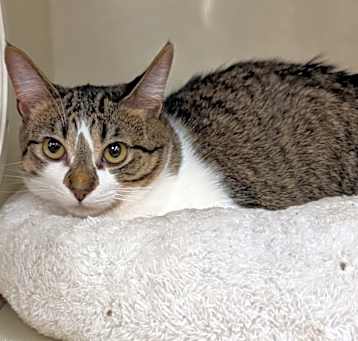 Photo of PENNY