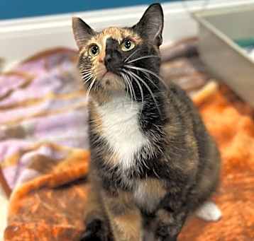 Photo of Freida