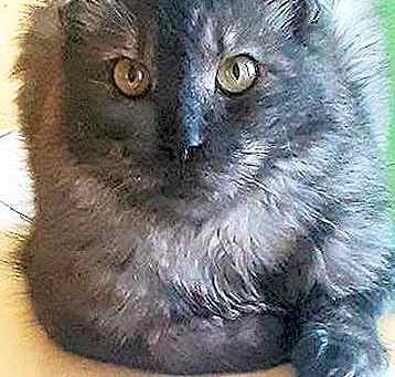 Photo of Omar