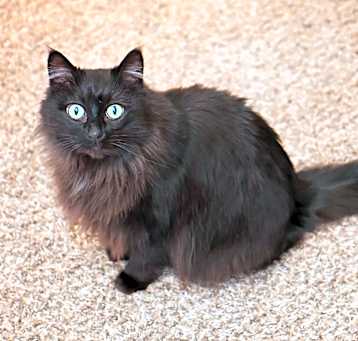 Photo of Raya