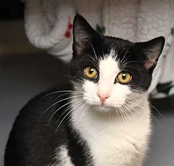 Photo of Tom