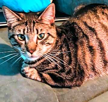 Photo of Kingston