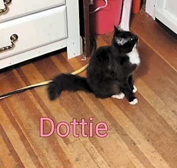 Photo of Dottie