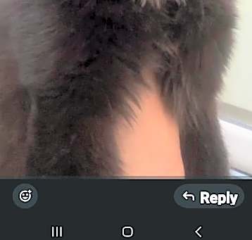 Photo of NALA