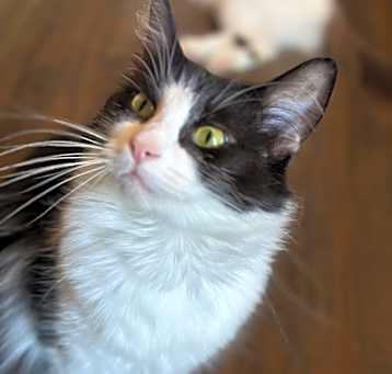 Photo of Margo 