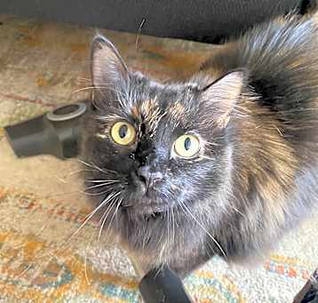 Photo of Nya