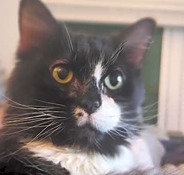 Photo of Little Man