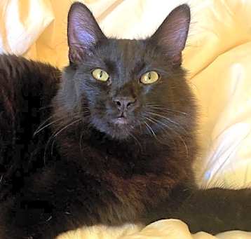 Photo of SOOT - Bonded with Sprite