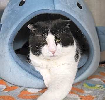 Photo of Connor