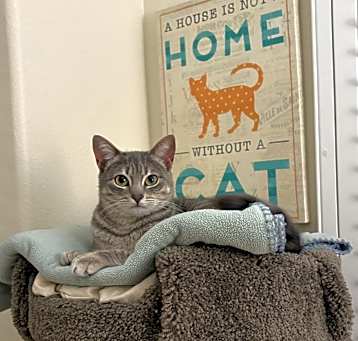 Photo of Esther