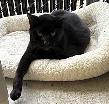 Photo of KITTERS