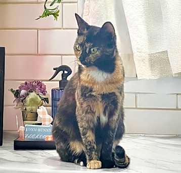 Photo of Dolly B