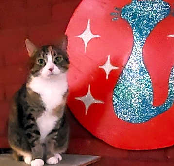 Photo of Diva