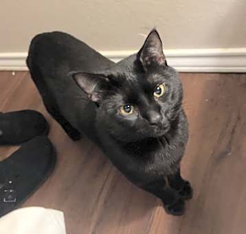 Photo of Salem