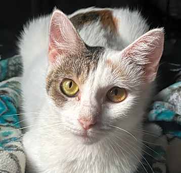 Photo of Julieta (BFF002)