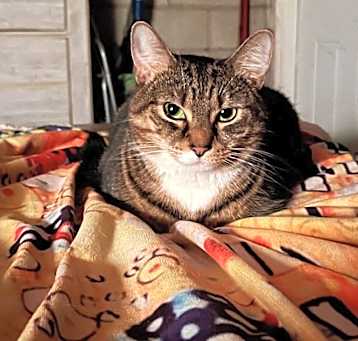 Photo of Emmi