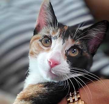 Photo of Lucky Lou