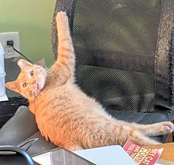 Photo of Charlie